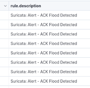 DDoS flooding output (placeholder)