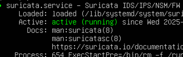 Suricata screenshot (placeholder)